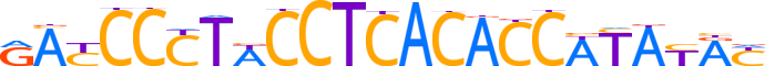 ZNF10.H13RSNP.0.P.D motif logo (ZNF10 gene, ZNF10_HUMAN protein)