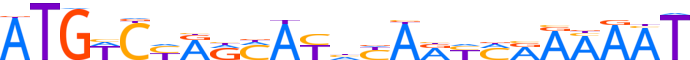 ZNF26.H13RSNP.0.P.D motif logo (ZNF26 gene, ZNF26_HUMAN protein)