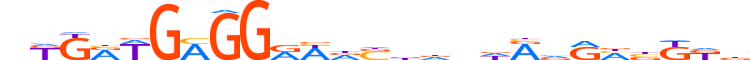 ZNF510.H13RSNP.0.PSG.D motif logo (ZNF510 gene, ZN510_HUMAN protein)