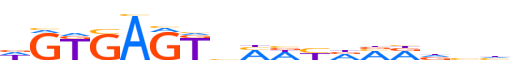 ZSA5C.H13RSNP.0.P.D motif logo (ZSCAN5C gene, ZSA5C_HUMAN protein)