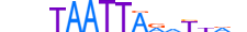 ALX3.H13RSNP.0.SM.B motif logo (ALX3 gene, ALX3_HUMAN protein)