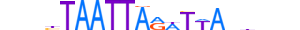 ALX3.H13RSNP.1.S.B motif logo (ALX3 gene, ALX3_HUMAN protein)