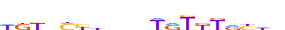 ANDR.H13RSNP.2.P.B motif logo (AR gene, ANDR_HUMAN protein)