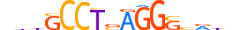 AP2E.H13RSNP.0.SM.D motif logo (TFAP2E gene, AP2E_HUMAN protein)