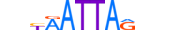 ARX.H13RSNP.1.SM.B motif logo (ARX gene, ARX_HUMAN protein)