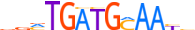 ATF4.H13RSNP.0.P.B motif logo (ATF4 gene, ATF4_HUMAN protein)