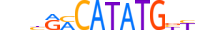 ATOH1.H13RSNP.1.SM.B motif logo (ATOH1 gene, ATOH1_HUMAN protein)