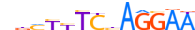 BCL6.H13RSNP.0.PSM.A motif logo (BCL6 gene, BCL6_HUMAN protein)