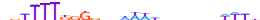 CASZ1.H13RSNP.0.SGI.D motif logo (CASZ1 gene, CASZ1_HUMAN protein)