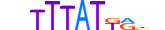 CDX1.H13RSNP.1.S.B motif logo (CDX1 gene, CDX1_HUMAN protein)