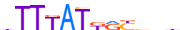 CDX2.H13RSNP.0.PS.A motif logo (CDX2 gene, CDX2_HUMAN protein)