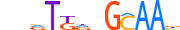 CEBPE.H13RSNP.0.P.B motif logo (CEBPE gene, CEBPE_HUMAN protein)