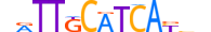 CEBPG.H13RSNP.2.P.B motif logo (CEBPG gene, CEBPG_HUMAN protein)