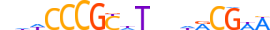 CENPB.H13RSNP.0.S.D motif logo (CENPB gene, CENPB_HUMAN protein)