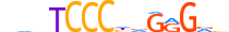 COE2.H13RSNP.0.P.D motif logo (EBF2 gene, COE2_HUMAN protein)