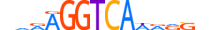 COT1.H13RSNP.0.PSM.A motif logo (NR2F1 gene, COT1_HUMAN protein)