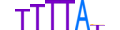 CPEB1.H13RSNP.0.S.D motif logo (CPEB1 gene, CPEB1_HUMAN protein)