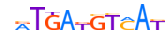 CREB5.H13RSNP.0.P.B motif logo (CREB5 gene, CREB5_HUMAN protein)