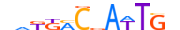 DACH2.H13RSNP.0.S.D motif logo (DACH2 gene, DACH2_HUMAN protein)