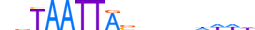 DLX1.H13RSNP.0.S.B motif logo (DLX1 gene, DLX1_HUMAN protein)