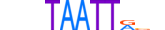 DLX1.H13RSNP.1.PSM.A motif logo (DLX1 gene, DLX1_HUMAN protein)