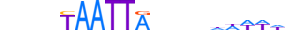 DLX2.H13RSNP.1.S.B motif logo (DLX2 gene, DLX2_HUMAN protein)