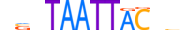 DLX3.H13RSNP.0.SM.D motif logo (DLX3 gene, DLX3_HUMAN protein)