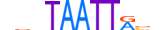 DLX6.H13RSNP.0.SM.B motif logo (DLX6 gene, DLX6_HUMAN protein)