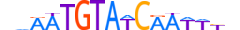 DMRT3.H13RSNP.0.S.C motif logo (DMRT3 gene, DMRT3_HUMAN protein)