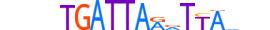 DUXA.H13RSNP.0.SM.B motif logo (DUXA gene, DUXA_HUMAN protein)