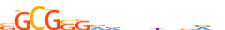 E2F4.H13RSNP.0.P.B motif logo (E2F4 gene, E2F4_HUMAN protein)