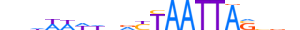 ESX1.H13RSNP.1.S.B motif logo (ESX1 gene, ESX1_HUMAN protein)