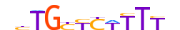 FEZF1.H13RSNP.0.P.D motif logo (FEZF1 gene, FEZF1_HUMAN protein)