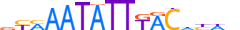 FOXA2.H13RSNP.1.SM.B motif logo (FOXA2 gene, FOXA2_HUMAN protein)