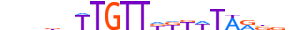 FOXE1.H13RSNP.0.SM.B motif logo (FOXE1 gene, FOXE1_HUMAN protein)