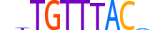 FOXJ2.H13RSNP.0.PSM.A motif logo (FOXJ2 gene, FOXJ2_HUMAN protein)