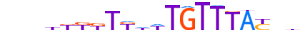 FOXJ2.H13RSNP.2.S.B motif logo (FOXJ2 gene, FOXJ2_HUMAN protein)