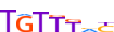 FOXK2.H13RSNP.0.P.B motif logo (FOXK2 gene, FOXK2_HUMAN protein)