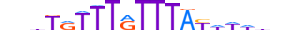 FOXL1.H13RSNP.0.S.D motif logo (FOXL1 gene, FOXL1_HUMAN protein)