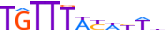 FOXL2.H13RSNP.0.PSM.A motif logo (FOXL2 gene, FOXL2_HUMAN protein)