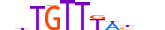 FOXO4.H13RSNP.0.SM.D motif logo (FOXO4 gene, FOXO4_HUMAN protein)