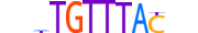 FOXO6.H13RSNP.0.S.B motif logo (FOXO6 gene, FOXO6_HUMAN protein)