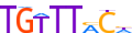 FOXP1.H13RSNP.0.PS.A motif logo (FOXP1 gene, FOXP1_HUMAN protein)