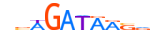 GATA1.H13RSNP.1.PSM.A motif logo (GATA1 gene, GATA1_HUMAN protein)