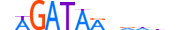 GATA2.H13RSNP.0.PSM.A motif logo (GATA2 gene, GATA2_HUMAN protein)