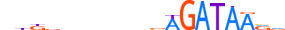 GATA2.H13RSNP.1.P.B motif logo (GATA2 gene, GATA2_HUMAN protein)