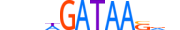 GATA5.H13RSNP.0.SM.B motif logo (GATA5 gene, GATA5_HUMAN protein)