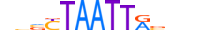 GBX2.H13RSNP.0.SM.B motif logo (GBX2 gene, GBX2_HUMAN protein)