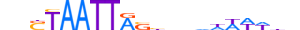 GBX2.H13RSNP.1.S.B motif logo (GBX2 gene, GBX2_HUMAN protein)