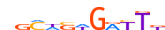 GFI1.H13RSNP.0.PSM.A motif logo (GFI1 gene, GFI1_HUMAN protein)